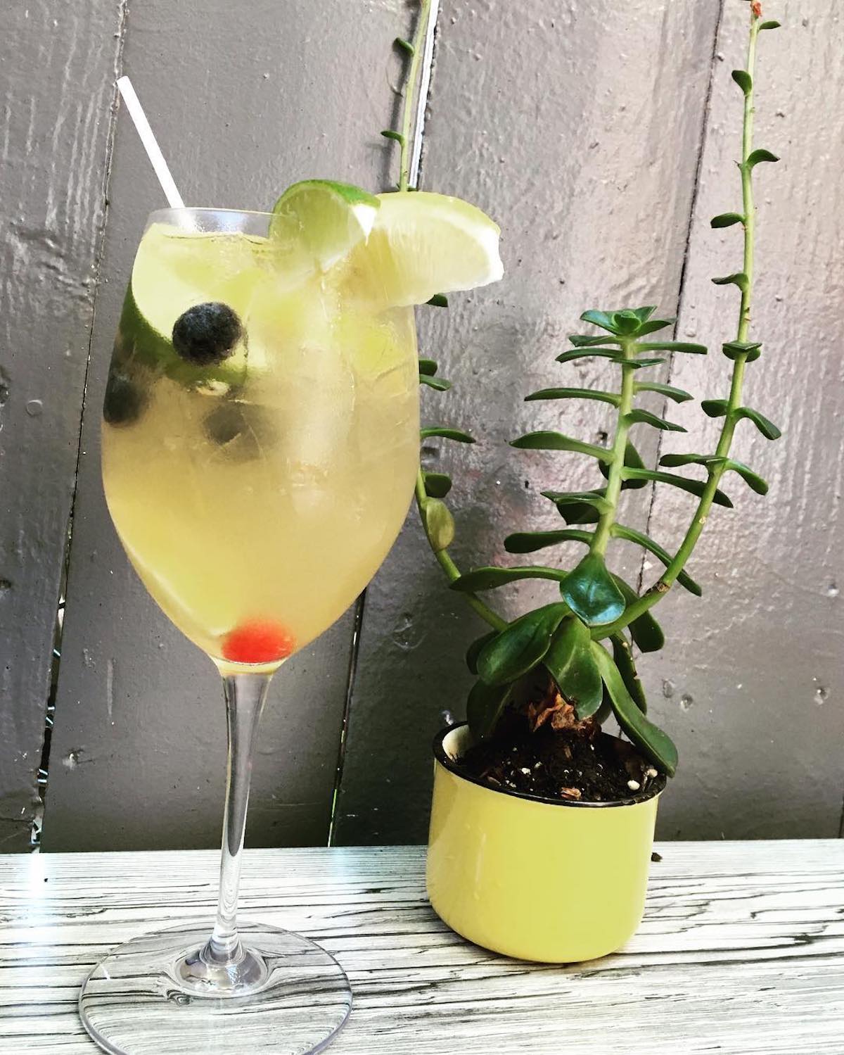 Vaso de vino blanco sangría adornado con frutas junto a una pequeña planta