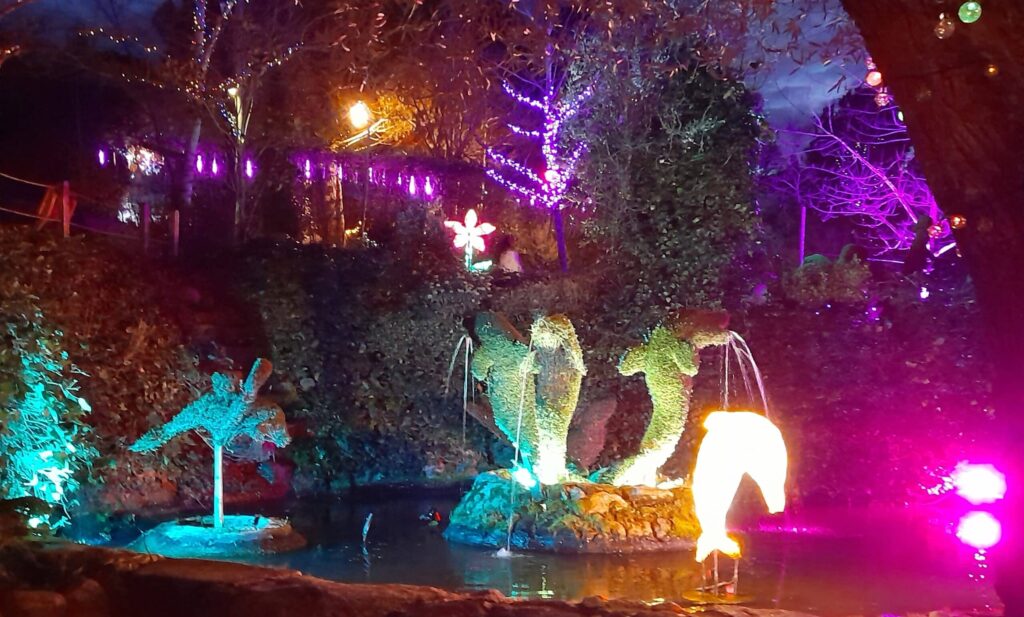 delfines en bosque encantado